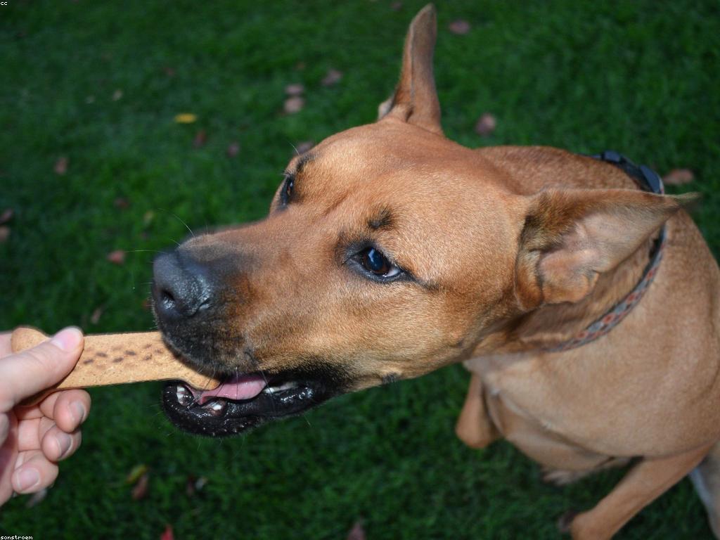 អត្ថប្រយោជន៍នៃប្រភេទប្រាក់រង្វាន់ថ្មី