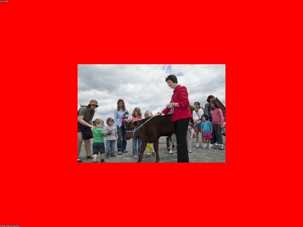 ប្រភេទប្រាក់រង្វាន់ផ្សេងៗដែលអាចសម្រេចបាន