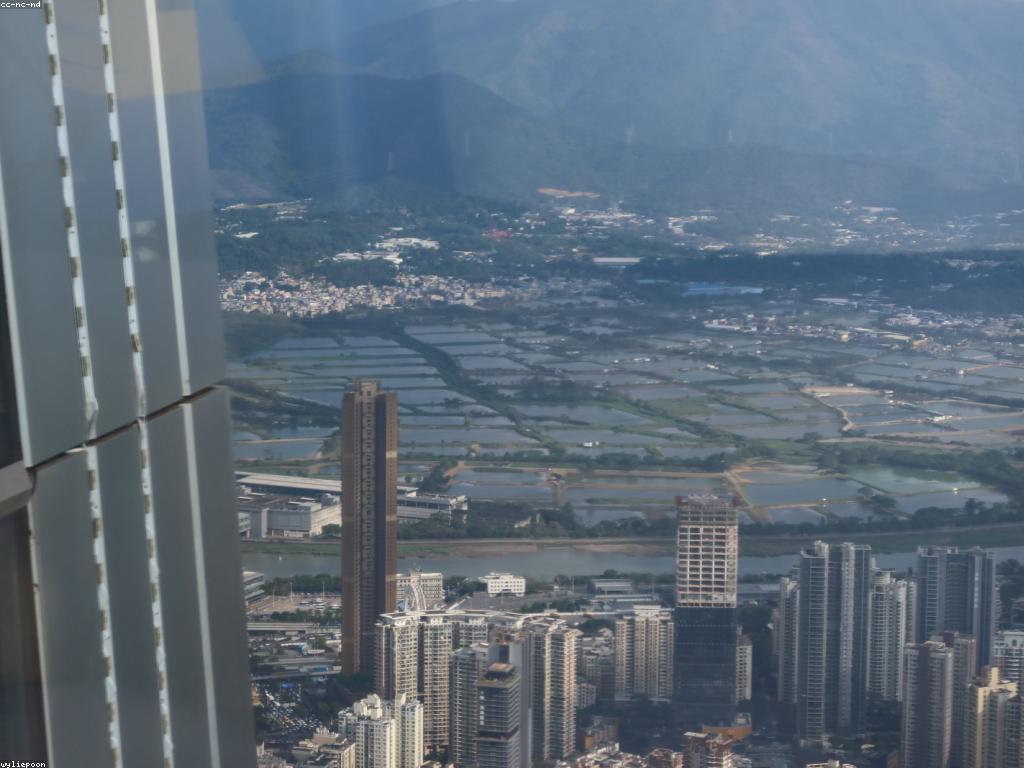 ប្រភេទប្រាក់រង្វាន់ និងវិធីប្រើប្រាស់