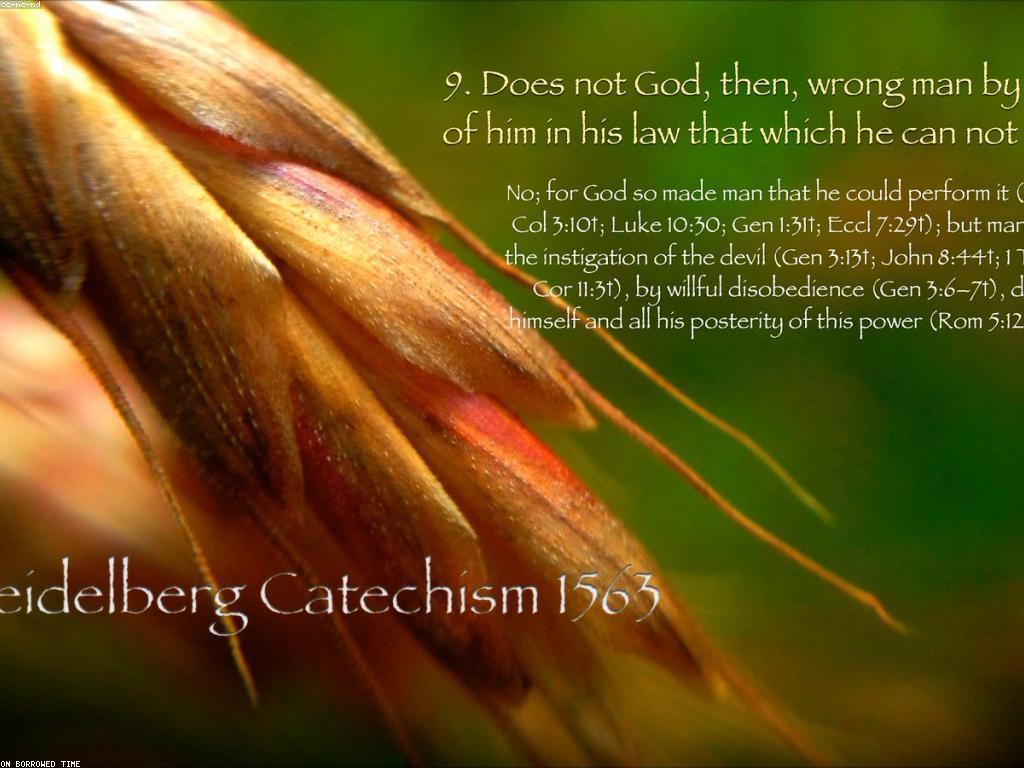 សំណួរដែលតែងដាក់សំណួរ៖ ការពិភាក្សាពីសំណួរធម្មតា និងចម្លើយ